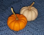 pumpkins-1