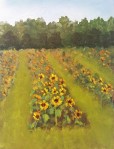 Sunflower 2 Finished