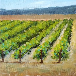 Vineyard 1