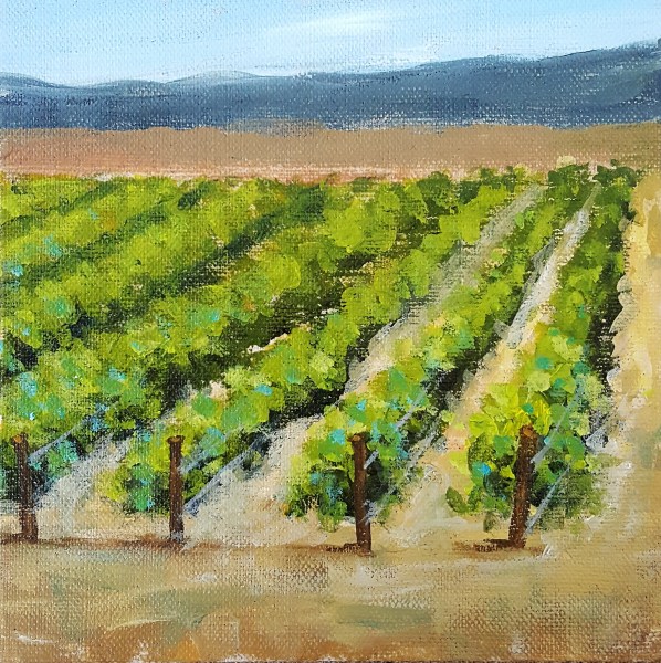 Vineyard 1