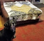 Dog with Heart Rag Quilt with&nbsp;Jed