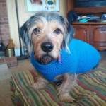 FB_IMG_1521729403216