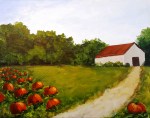 Barn and Pumpkin&nbsp;Patch